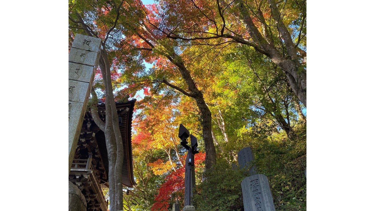 My 3rd times… Mt. Takao hiking