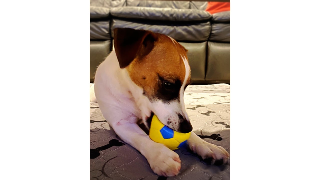 Playing the ball