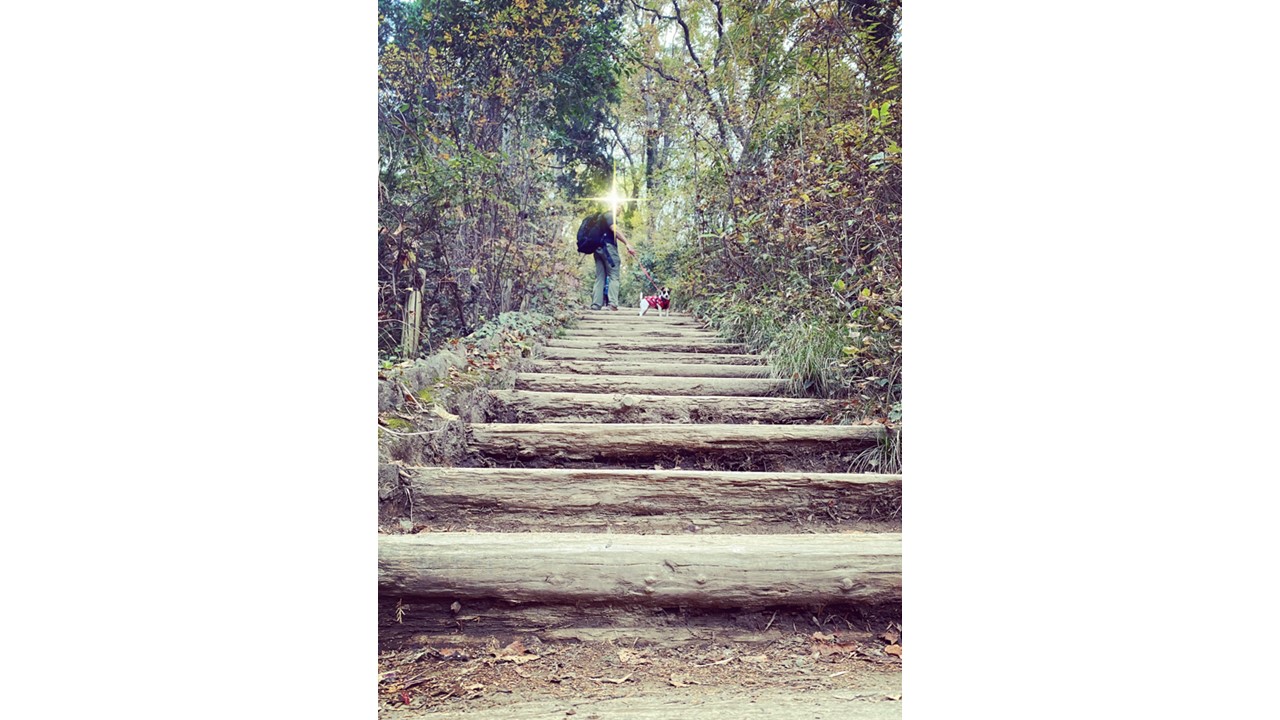 Mt. Takao hiking AGAIN